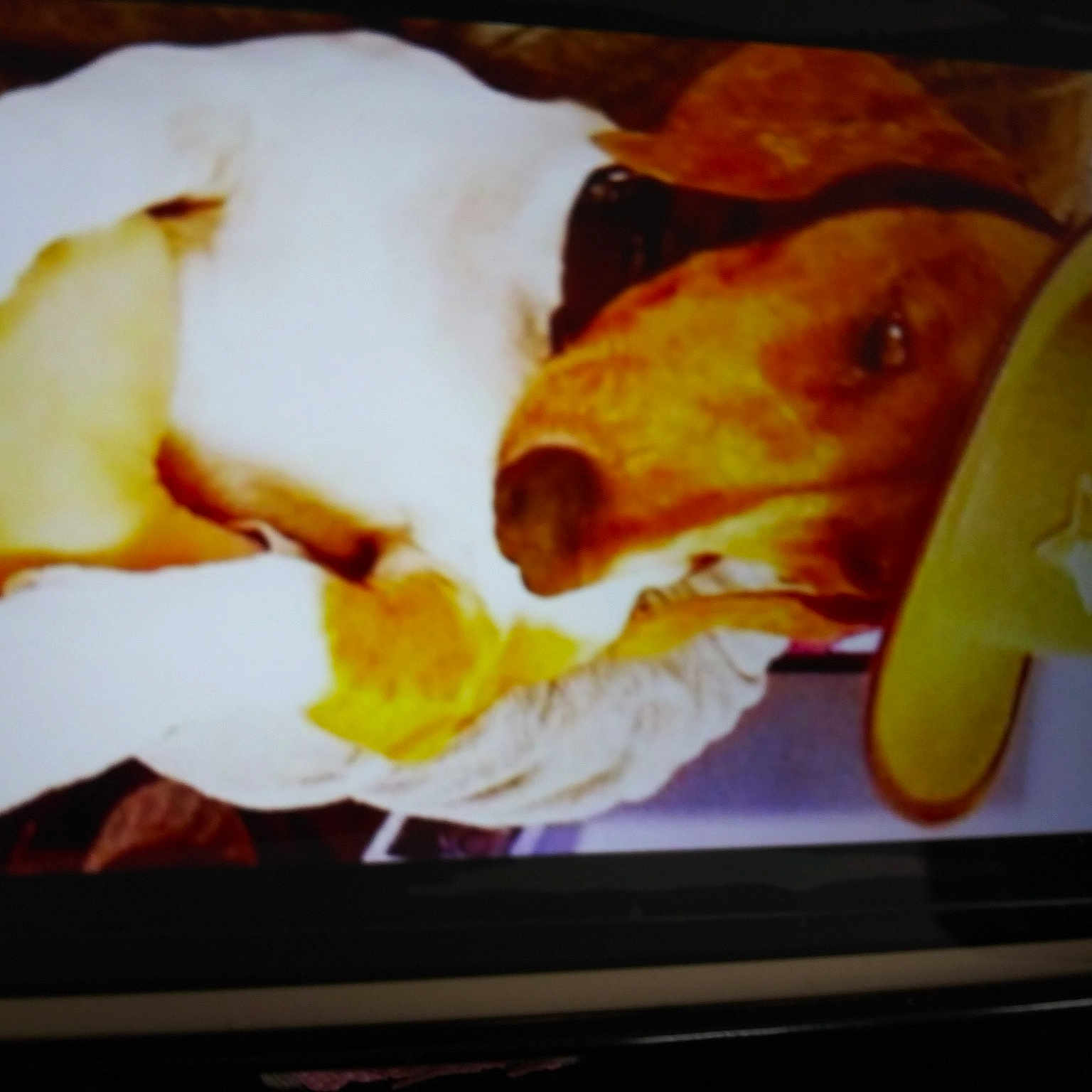 Gutti joined the competition — help win amazing prizes! breakfast, comfort_food, cuisine, dish, food, ingredient, square