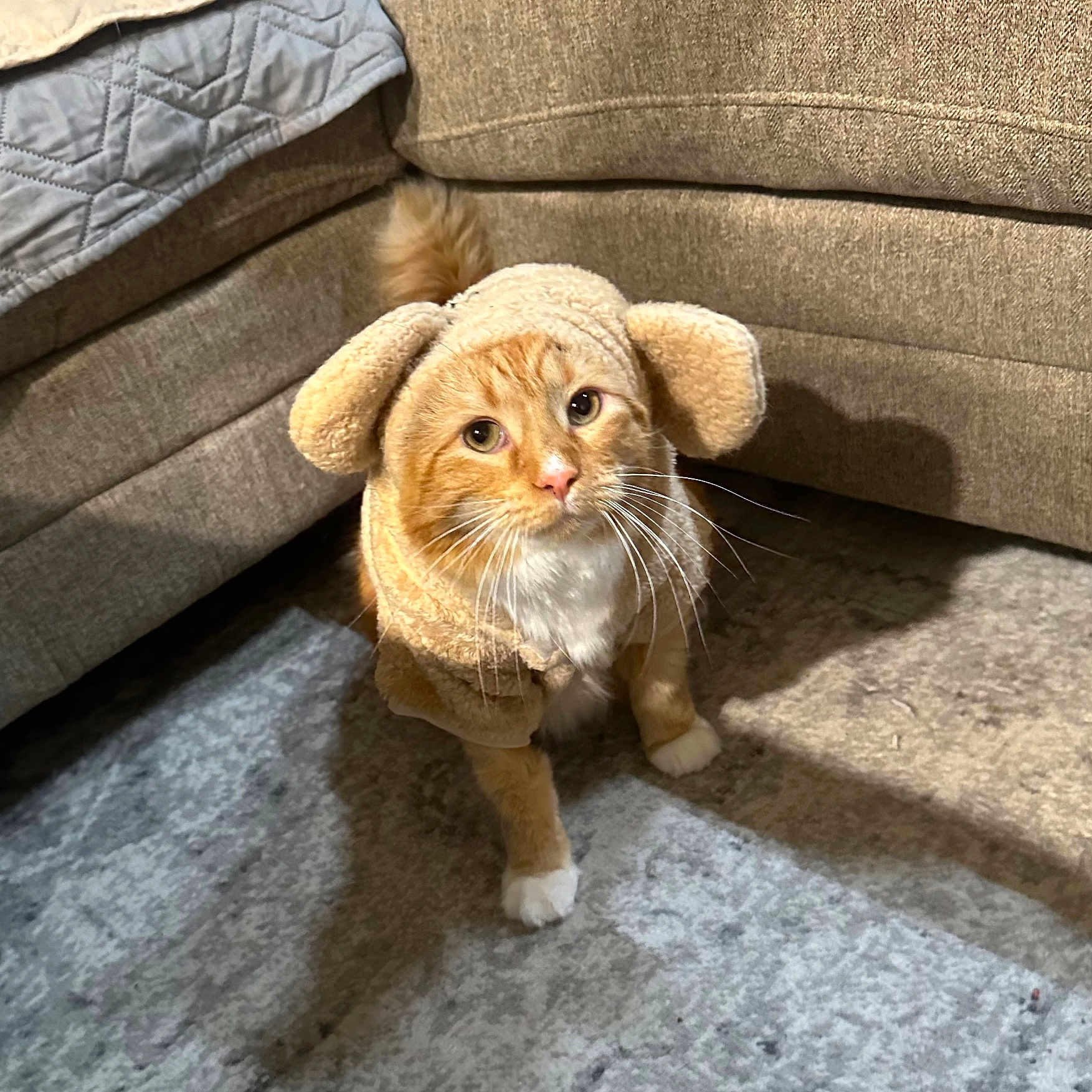 Oliver