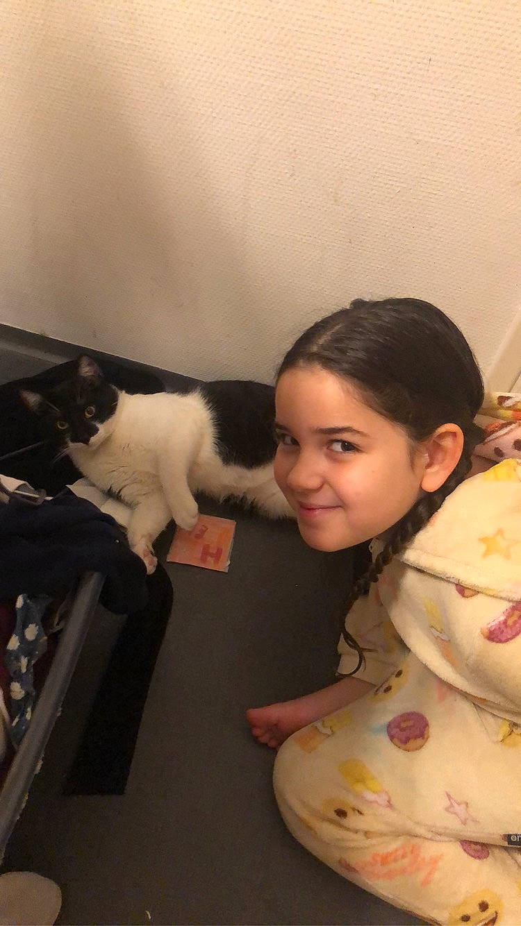 Louna a rejoint le concours — aidez-le/la à gagner de superbes lots ! carnivore, cat, comfort, companion_dog, felidae, fur, happy, joy, lap, linens, person, room, sleeve, small_to_medium_sized_cats, smile, toddler, toy, vertebrate, whiskers