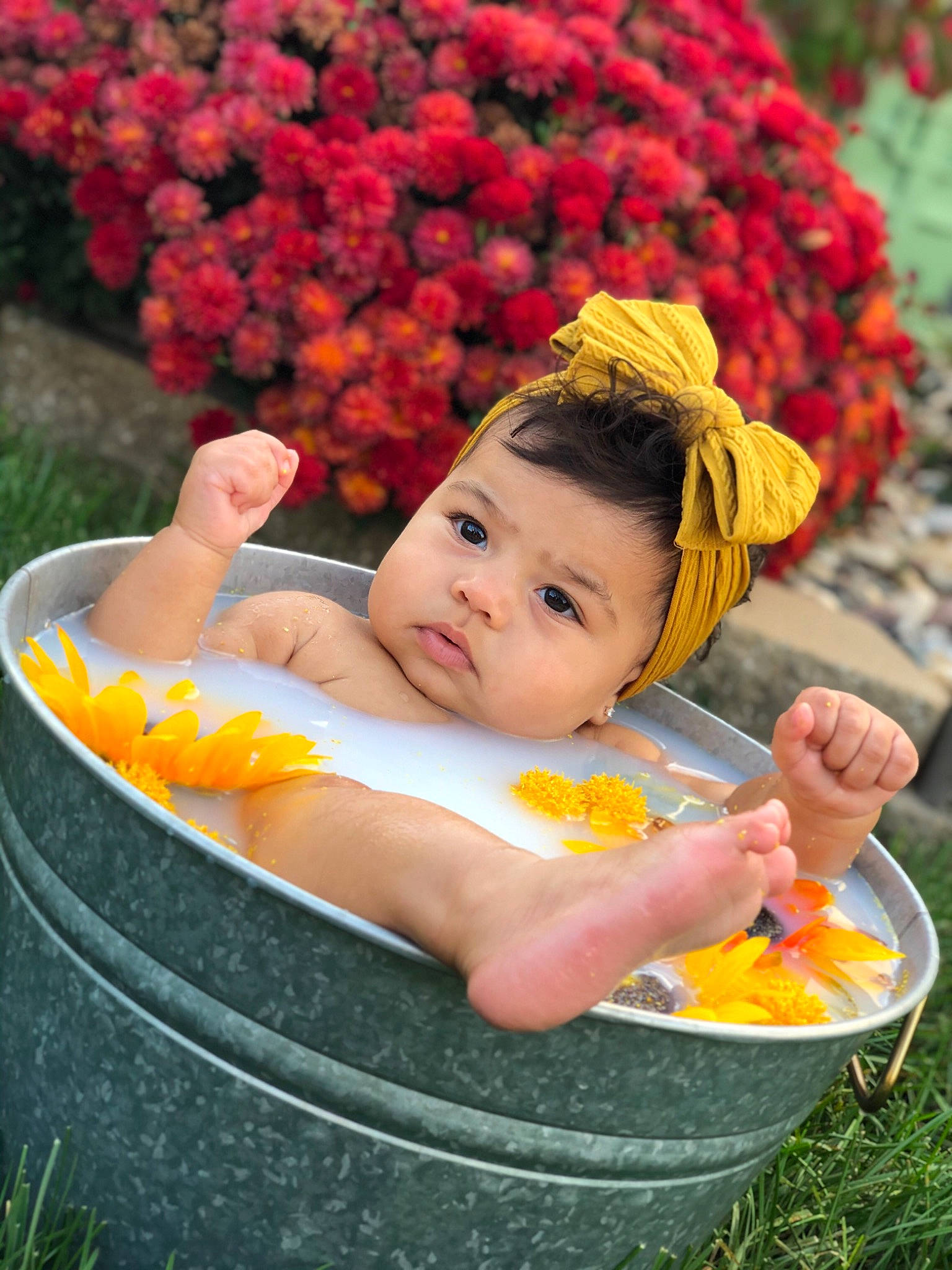 Mila is registered to the contest to win money with this photo: baby, child, flower, fruit, leisure, orange, person, plant, product, summer, toddler, vacation, yellow