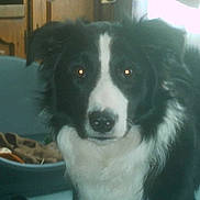 Snoopy participe au concours pour gagner de l'argent avec cette photo :