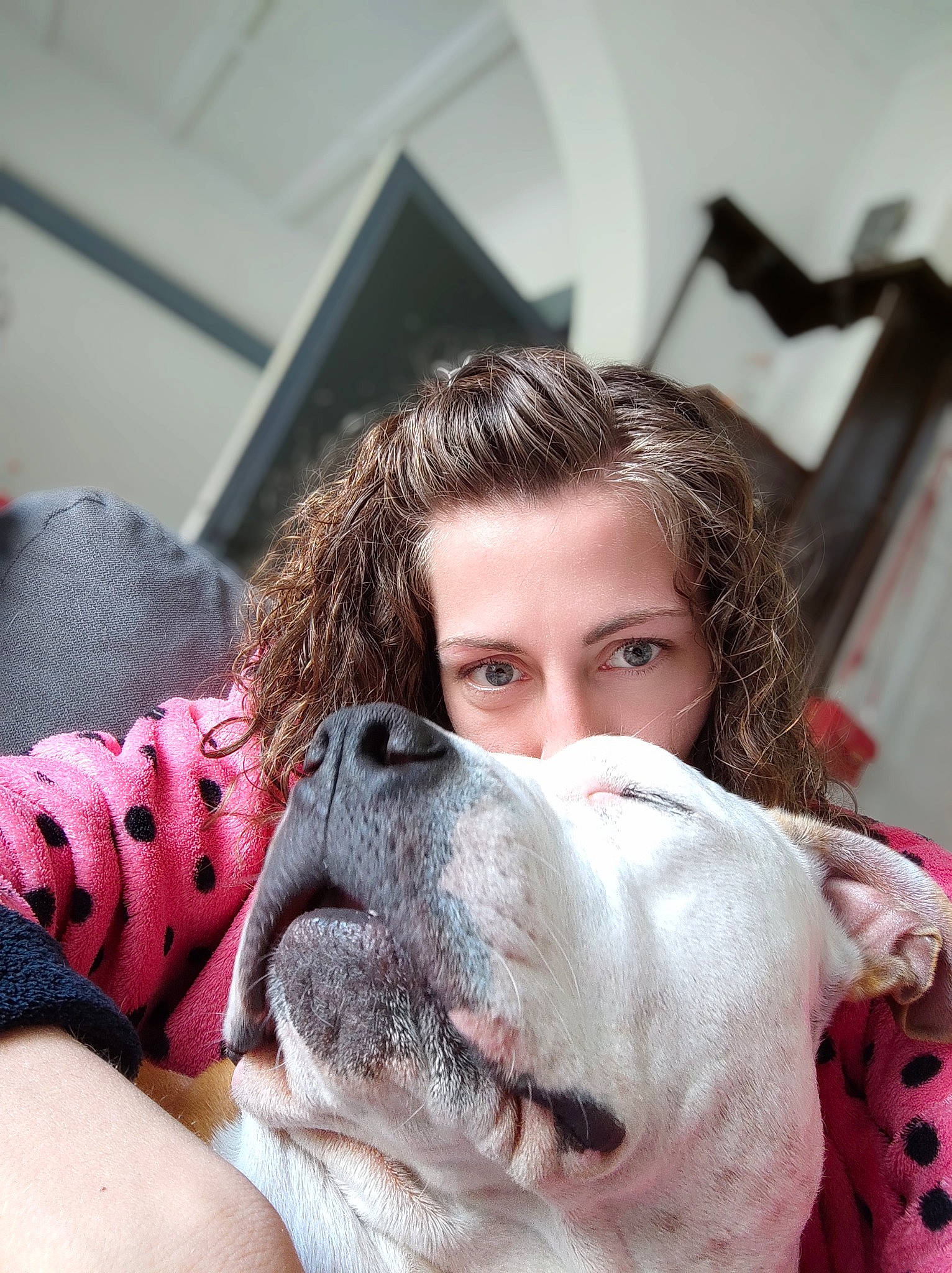 Oslo participe au concours pour gagner de l'argent avec cette photo : carnivore, comfort, cool, dog, dog_breed, eye, eyebrow, eyelash, fawn, gesture, happy, jaw, lip, mouth, muscle, neck, nose, shoulder, skin, vertebrate