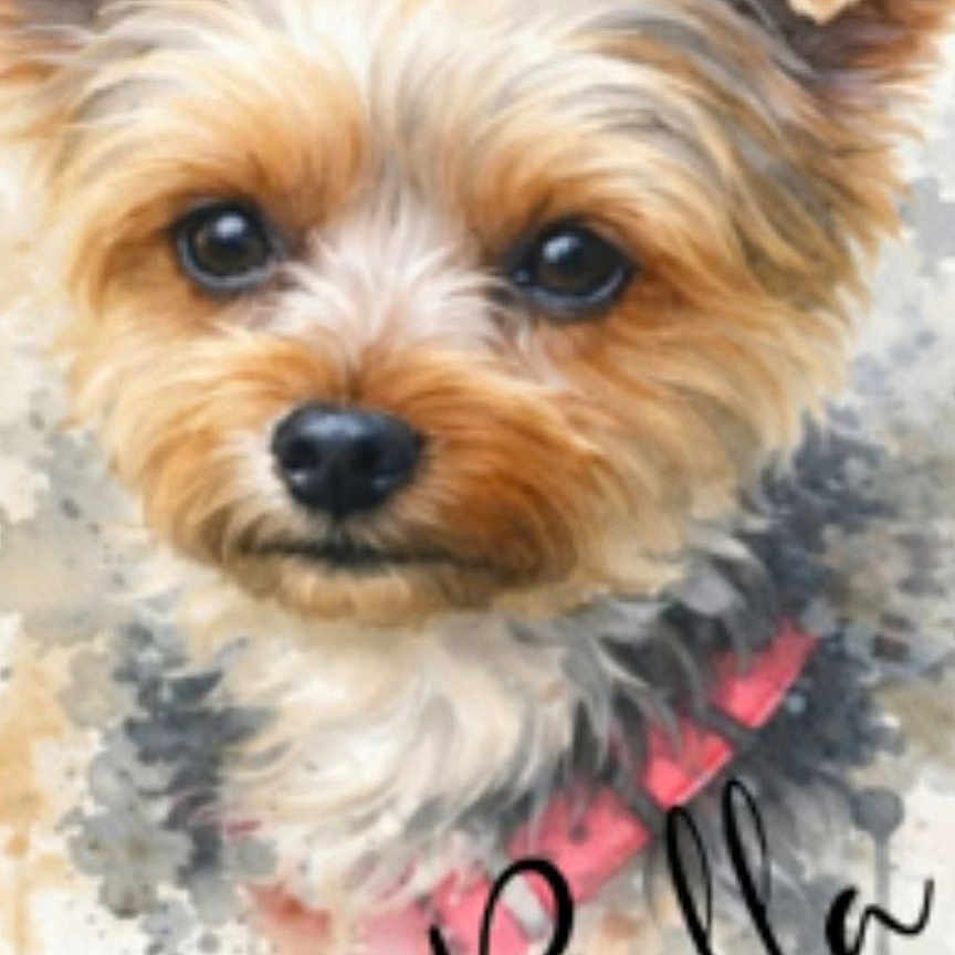 Bella