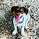 Barkley
