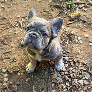 Gigi joined the competition — help win amazing prizes!