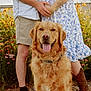 dog, golden_retriever, animal, pet, smiling, tongue_out, couple, pregnant, floral_dress, tattoo, boots, shorts, shirt, hands, nature, flowers, garden, outdoor, sunlight, happy