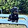Ketty