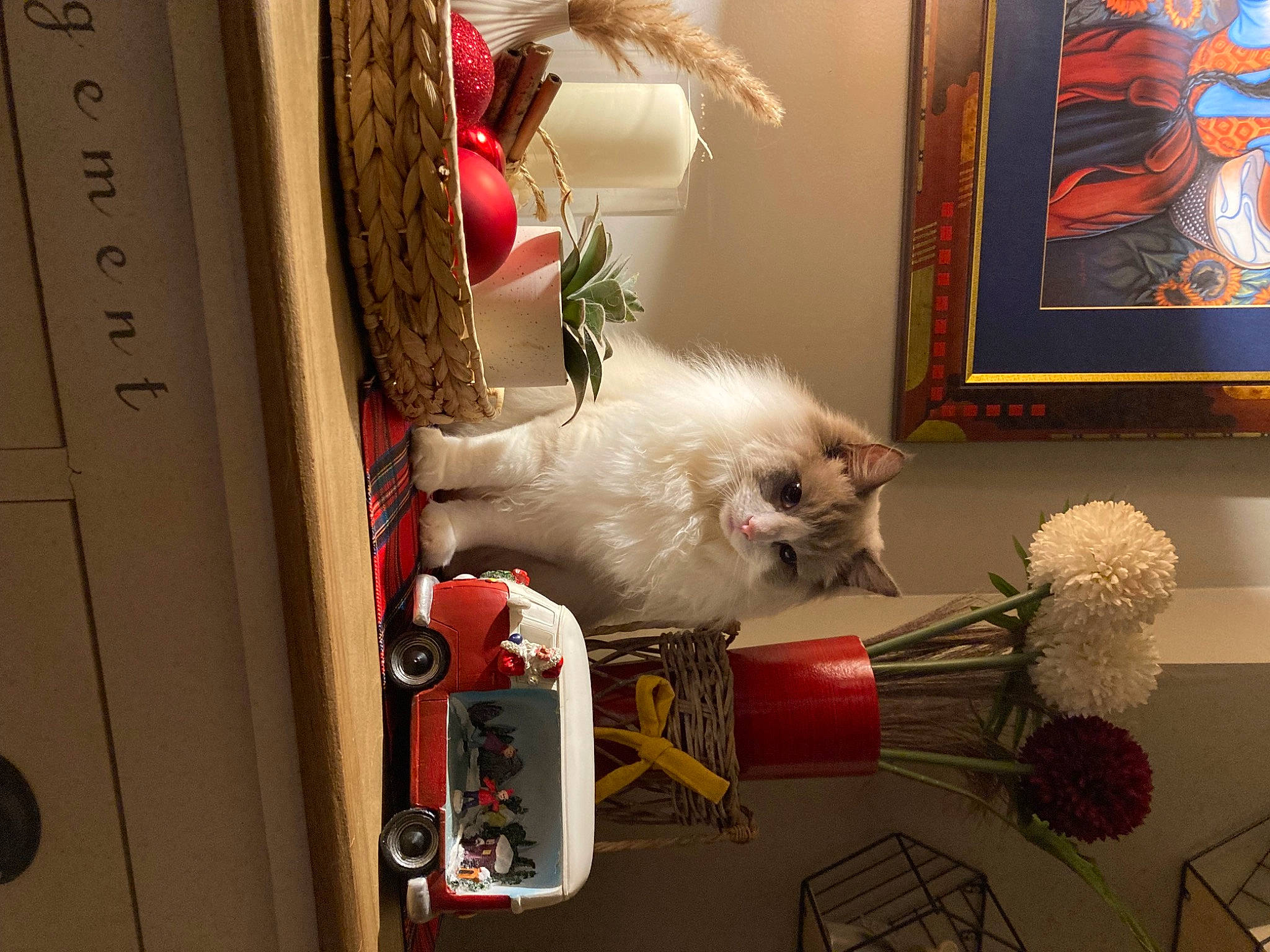 Tylou a rejoint le concours — aidez-le/la à gagner de superbes lots ! art, carnivore, cat, companion_dog, event, felidae, floral_design, flower, fur, house, machine, picture_frame, room, small_to_medium_sized_cats, tail, visual_arts, whiskers