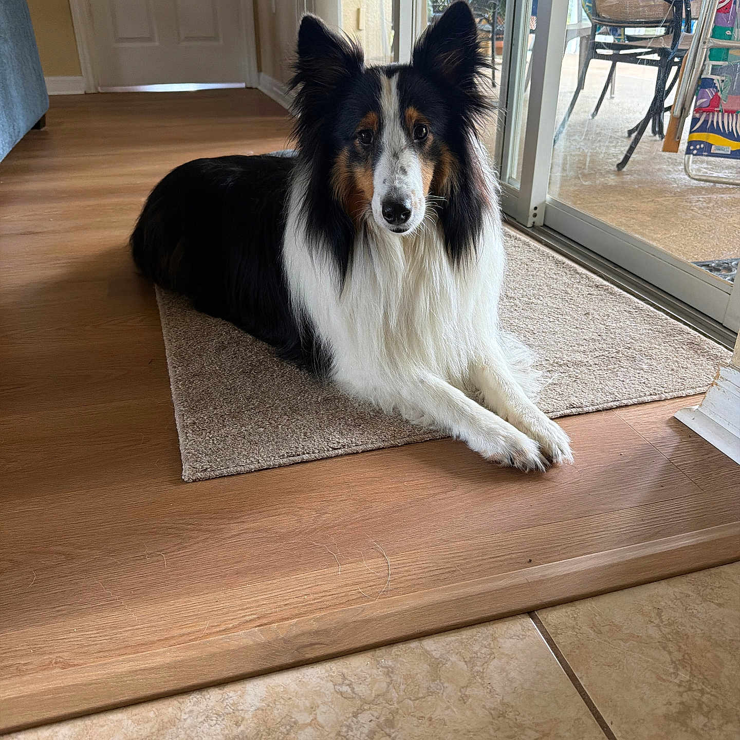 Lacey
