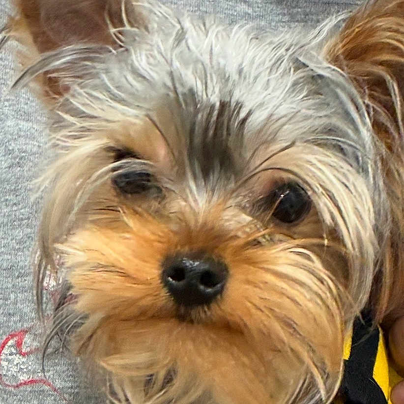 Coco