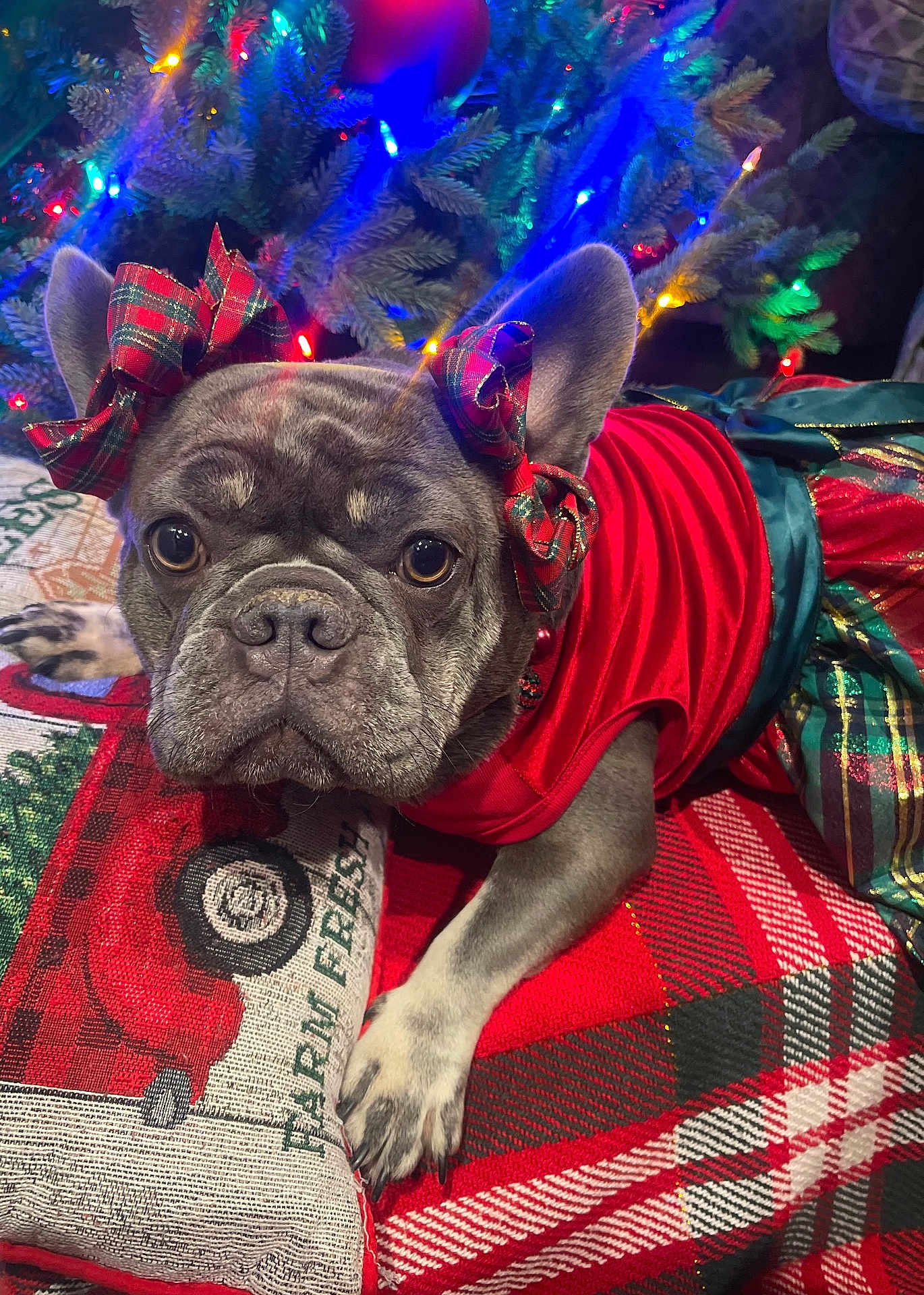 Mila
