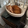 bathroom, cabinet, cat, ceramic_sink, cozy, curiosity, curled_up, domestic_animal, faucet, feline, indoor, orange_tabby, pet, resting, sink, tile_floor, toilet, toothbrush, towel, white_wall