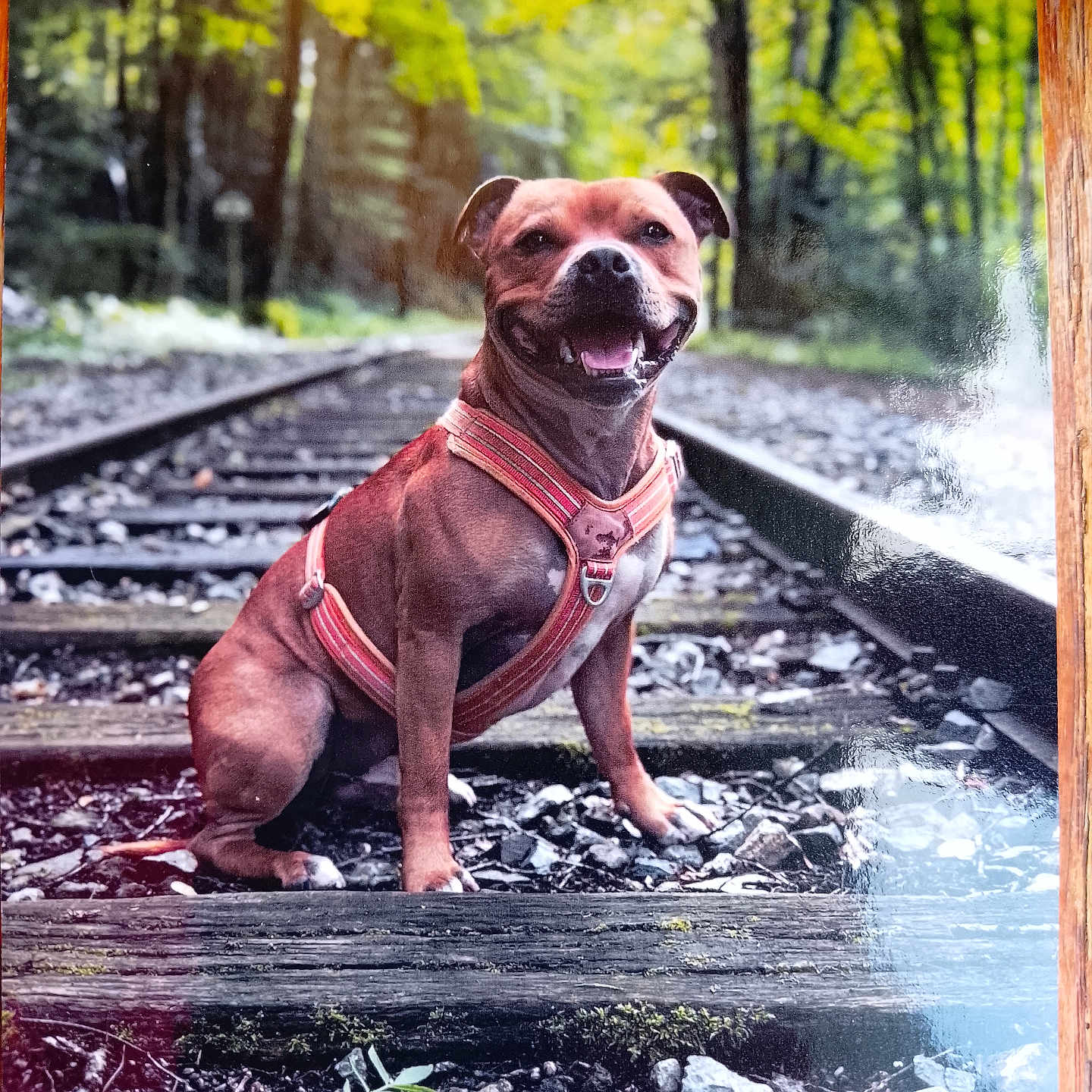 Tyson