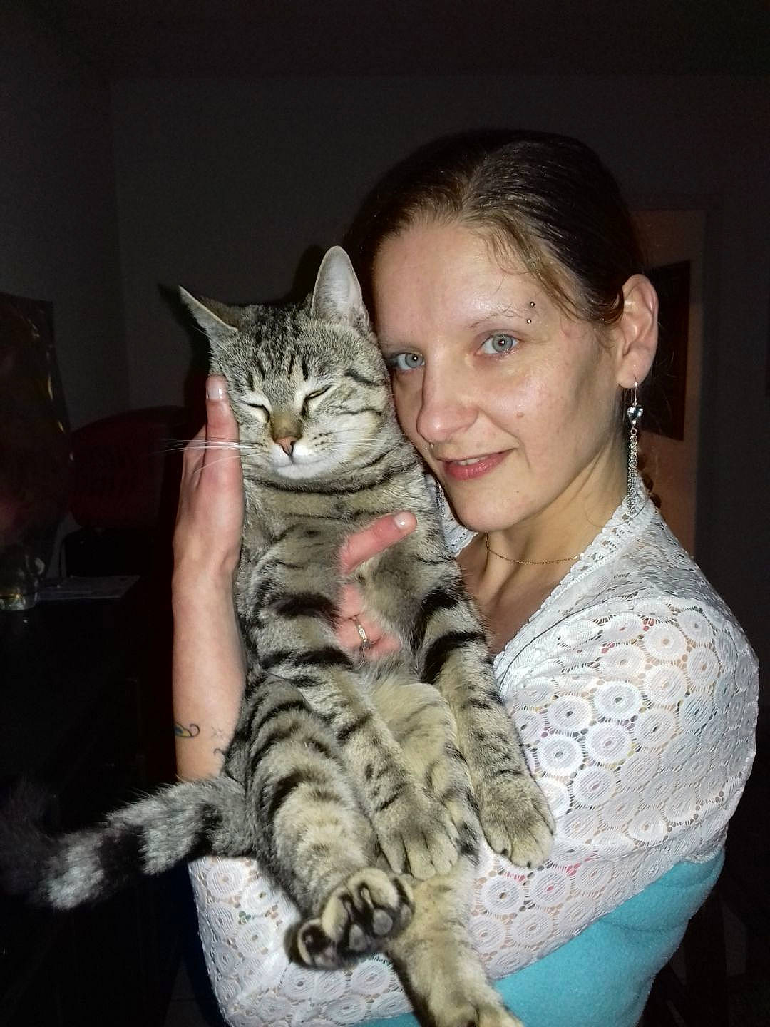 Minuit participe au concours pour gagner de l'argent avec cette photo : animal_training, carnivore, cat, claw, domestic_short_haired_cat, felidae, fur, gesture, paw, sitting, small_to_medium_sized_cats, smile, whiskers