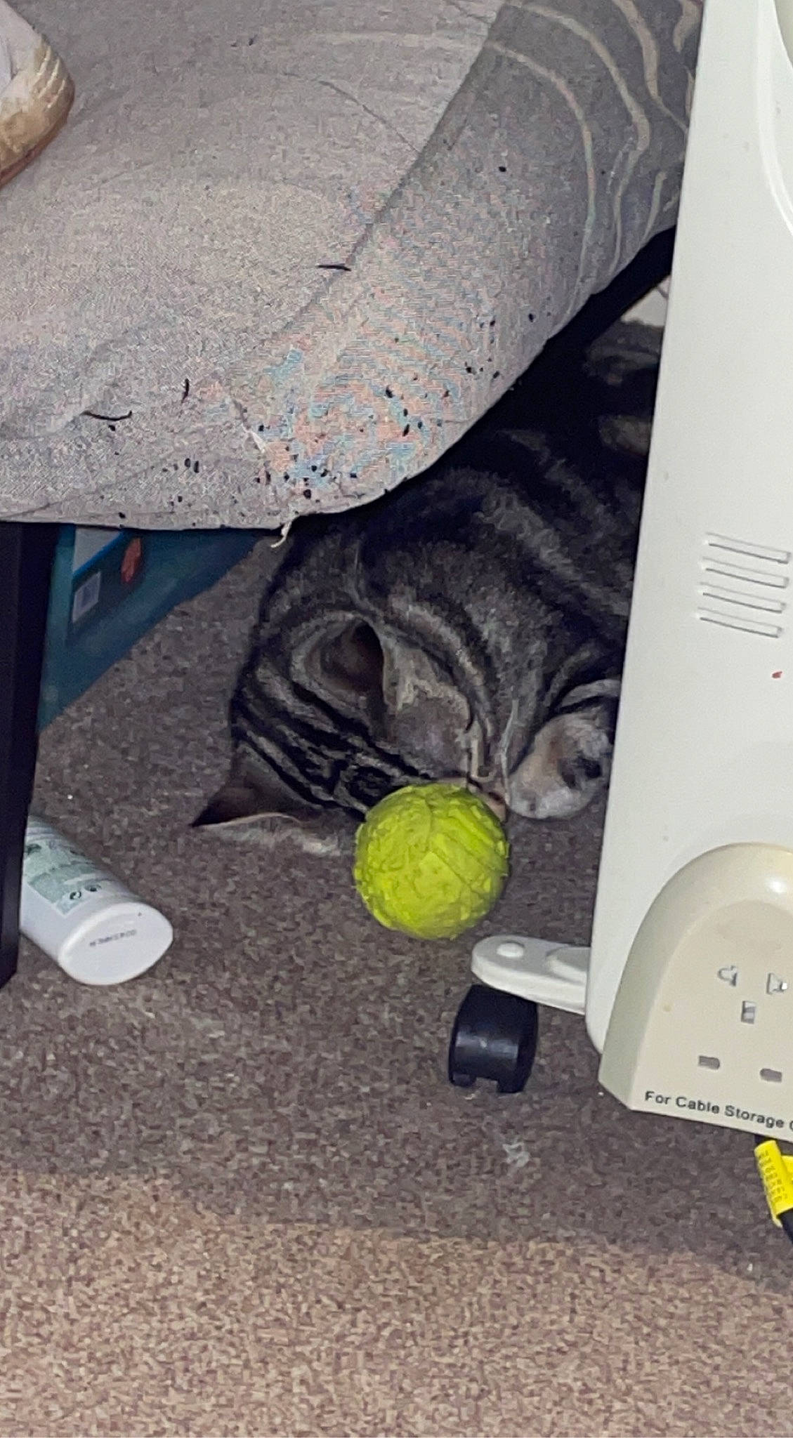 Mufsa is registered to the contest to win money with this photo: asphalt, ball, circle, citrus, concrete, flooring, font, fruit, home_appliance, lemon, office_supplies, pattern, recreation, road_surface, sports_equipment, tennis, tennis_ball, tennis_equipment, tints_and_shades, umbrella