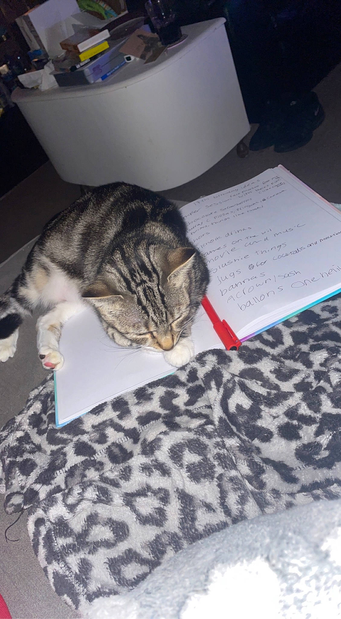 Mufsa joined the competition — help win amazing prizes! carnivore, cat, claw, comfort, couch, domestic_short_haired_cat, felidae, flooring, fur, linens, nap, pattern, paw, room, sleep, small_to_medium_sized_cats, tail, whiskers, wood