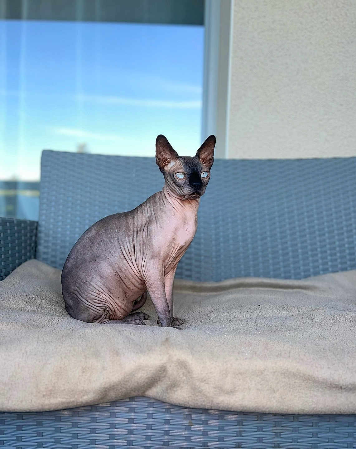 Prince Lucky