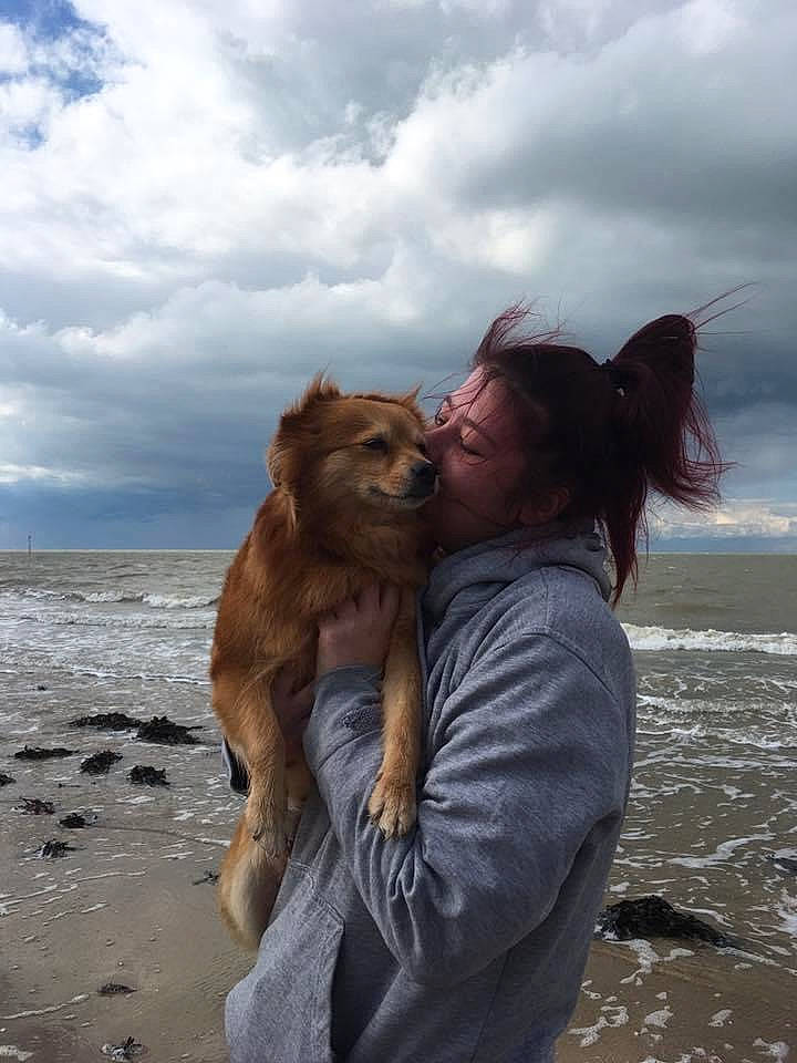 Millie joined the competition — help win amazing prizes! beach, canidae, carnivore, cloud, companion_dog, dog, dog_breed, fawn, gesture, happy, liver, ocean, people_in_nature, people_on_beach, sky, smile, sporting_group, travel, water, wind_wave