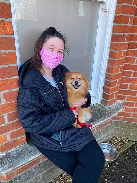 Millie joined the competition — help win amazing prizes! brick, brickwork, carnivore, companion_dog, eyewear, fawn, formal_wear, fur, jacket, knee, pink, sitting, street_fashion, stuffed_toy, sunglasses, thigh, toy, trunk, vision_care, waist