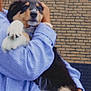 puppy, dog, person, holding, blue_shirt, striped, brick_wall, outdoor, pet, cute, furry, paw, black_fur, tan_fur, white_paw, cuddling, companion, animal, young_dog, affection