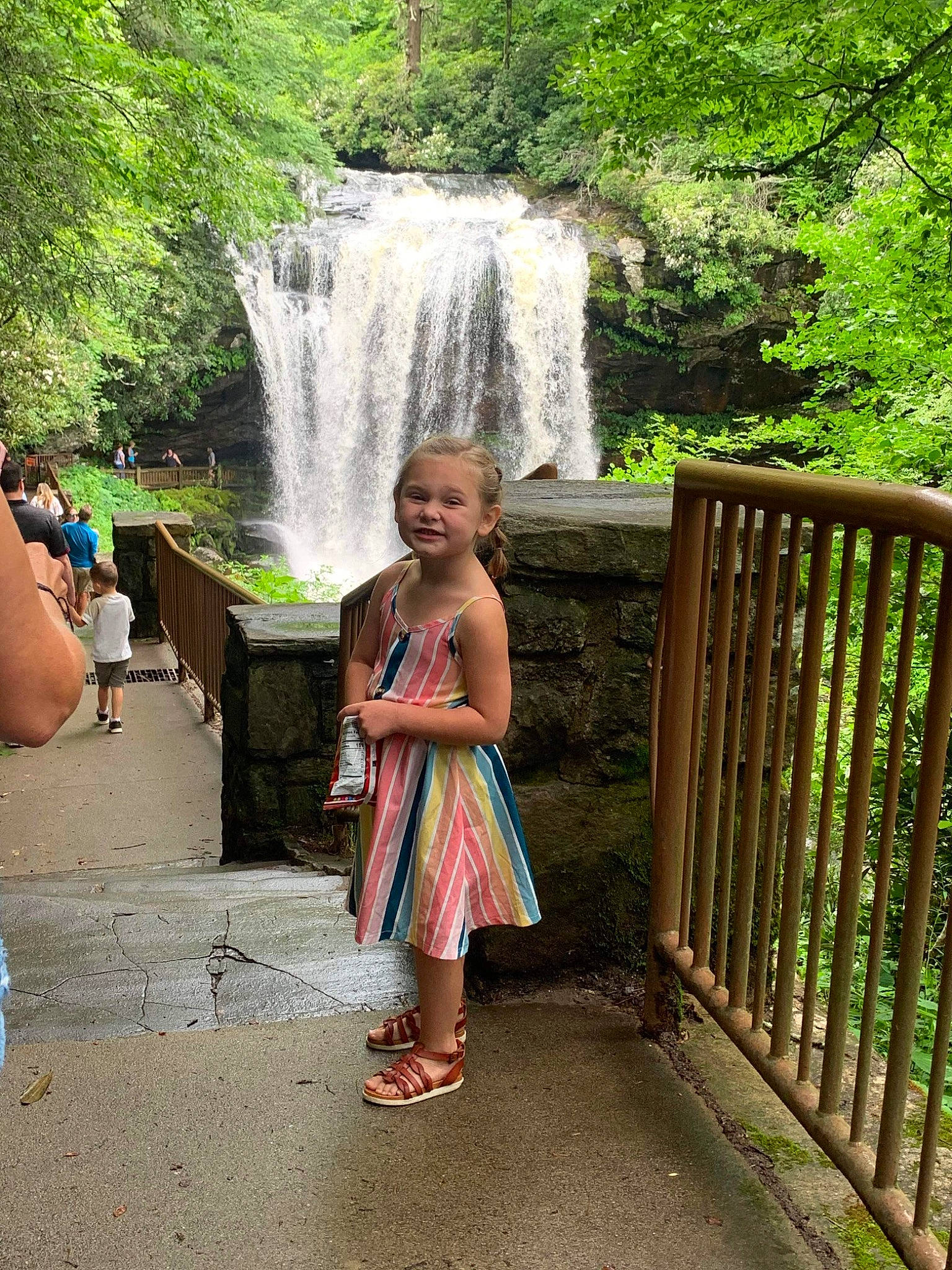 Haven is registered to the contest to win money with this photo: chute, forest, fun, grass, green, human_body, joy, leaf, leisure, natural_landscape, nature, person, plant, smile, spring, travel, tree, vegetation, water, watercourse