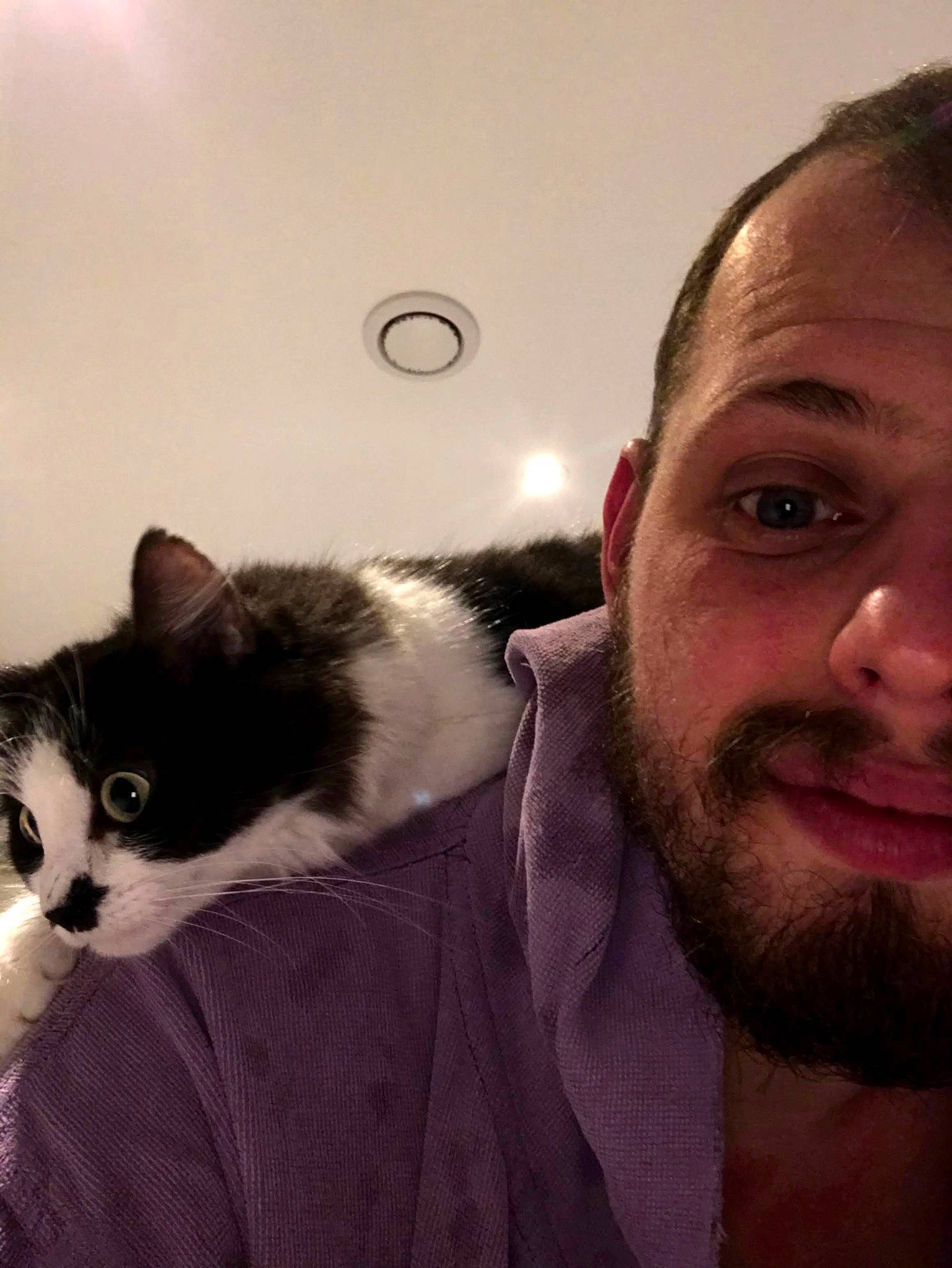 Chatounette a rejoint le concours — aidez-le/la à gagner de superbes lots ! beard, carnivore, cat, comfort, ear, eye, eyewear, facial_hair, felidae, formal_wear, gesture, happy, iris, jaw, moustache, nose, selfie, small_to_medium_sized_cats, smile, whiskers