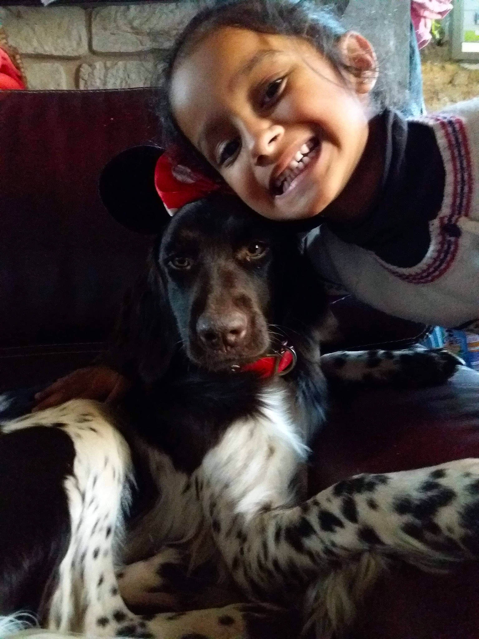 Kaïla a rejoint le concours — aidez-le/la à gagner de superbes lots ! canidae, carnivore, companion_dog, dog, dog_breed, fur, iris, jaw, large_munsterlander, mammal, organ, puppy_love, snout, sporting_group, tongue, tooth, vertebrate, working_animal, working_dog