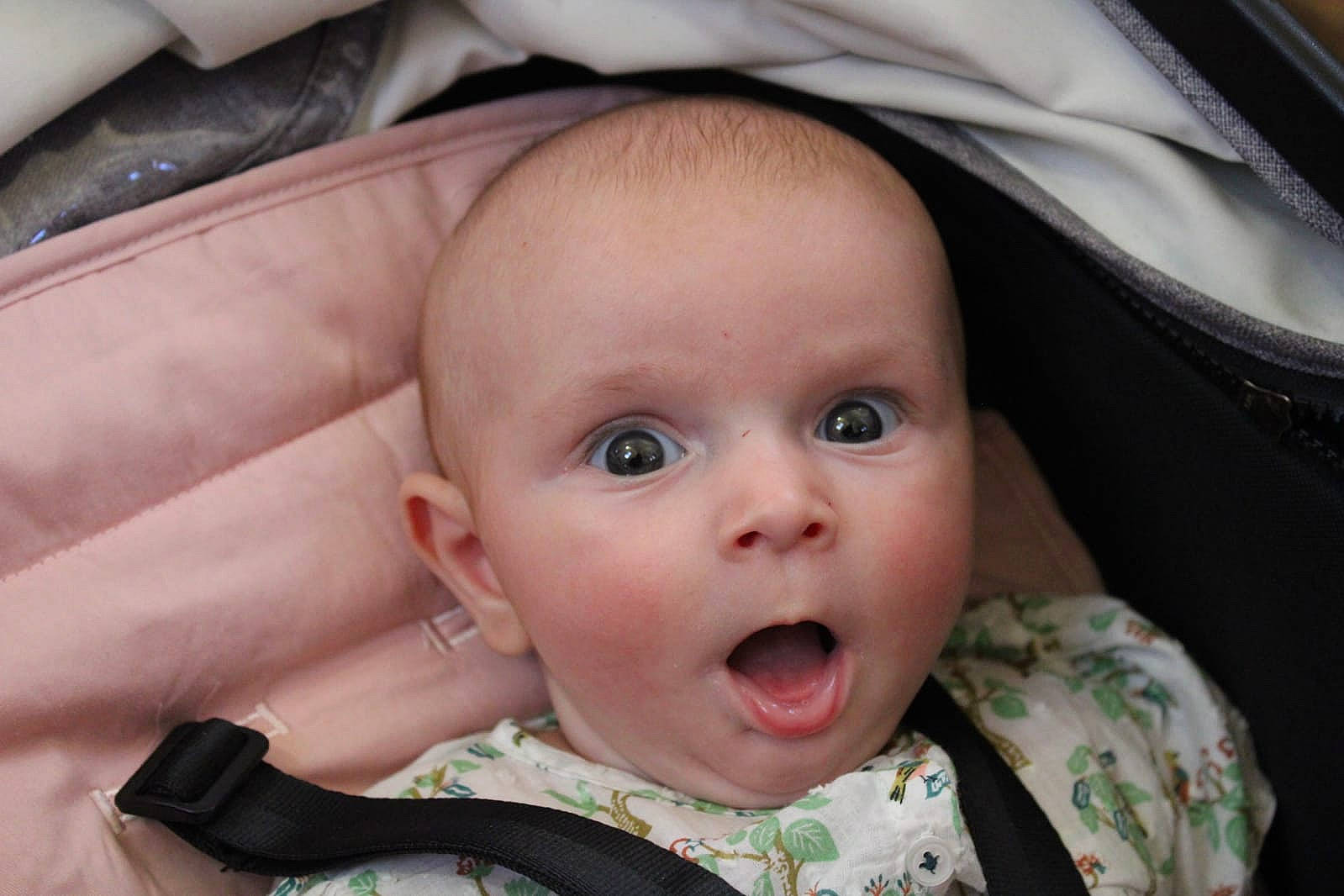 Maya participe au concours pour gagner de l'argent avec cette photo : baby, cheek, chin, ear, eye, eyebrow, eyelash, face, happy, head, iris, lip, mammal, mouth, nose, organ, person, product, skin, surprise