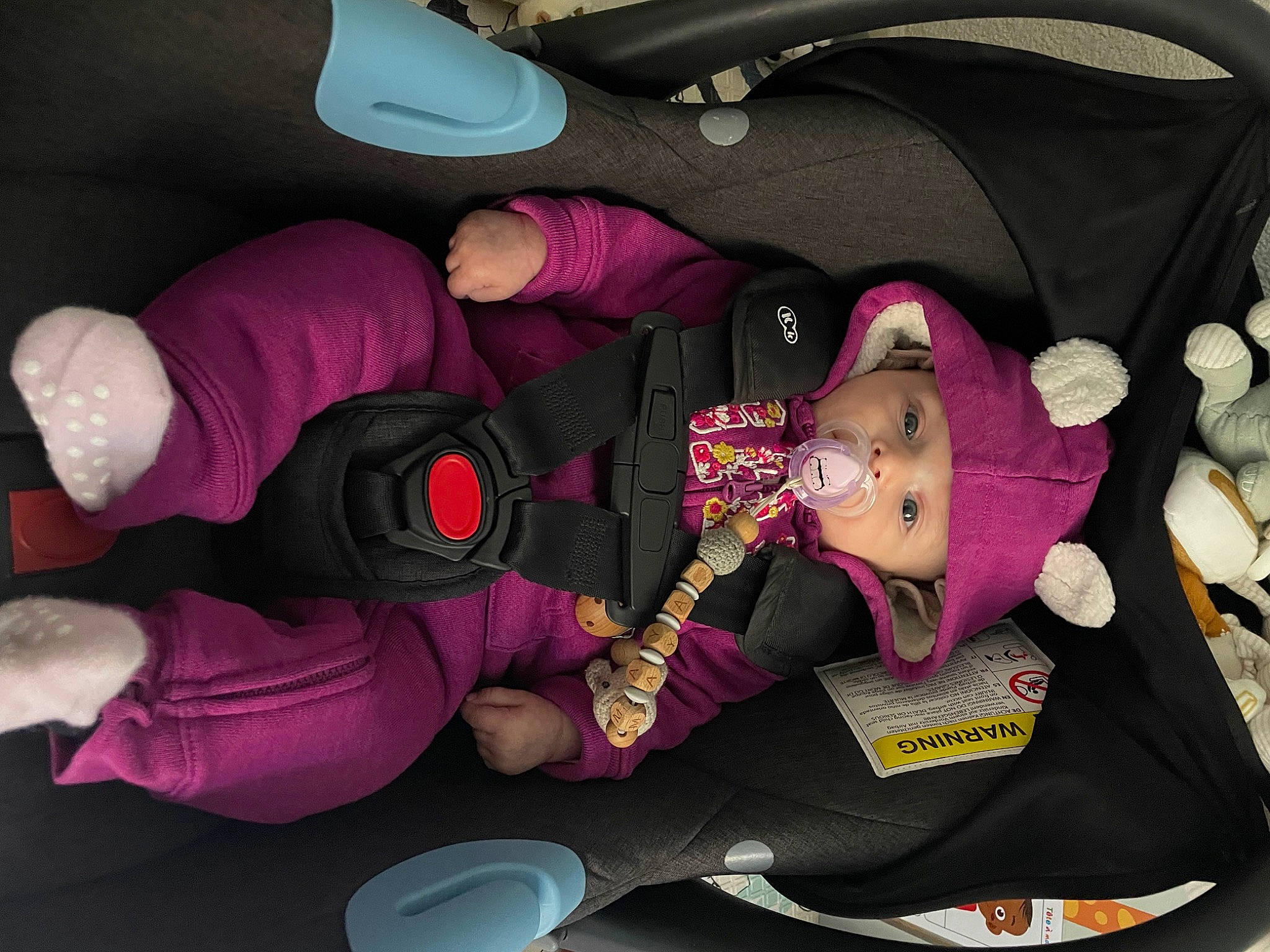 Maya participe au concours pour gagner de l'argent avec cette photo : auto_part, baby, baby_carriage, baby_products, car_seat, carmine, child, comfort, costume, fictional_character, headwear, human_body, knee, lap, magenta, person, pink, purple, textile, thigh