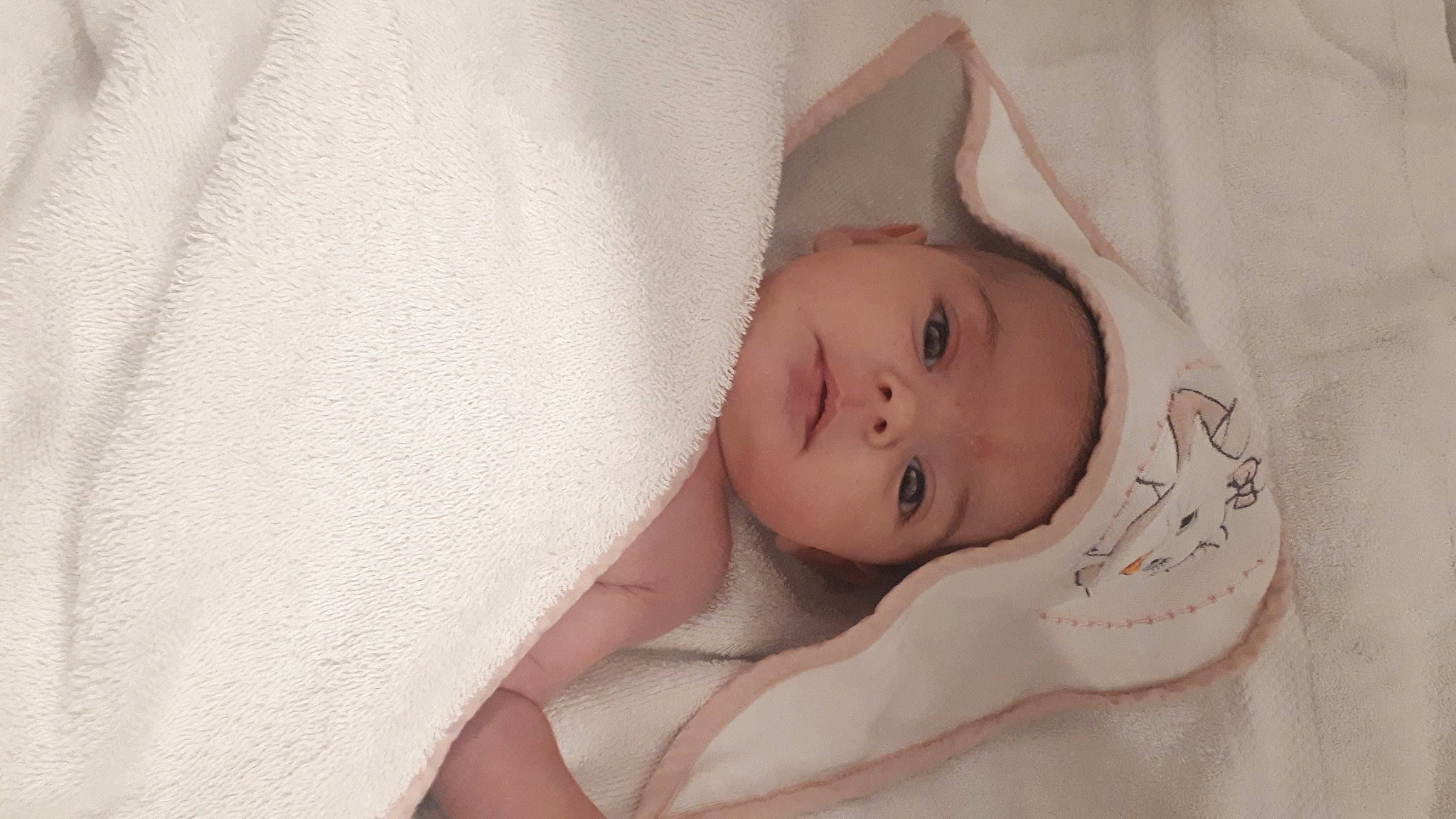 Louce a rejoint le concours — aidez-le/la à gagner de superbes lots ! eye, eyebrow, headwear, linens, lip, person, textile, towel