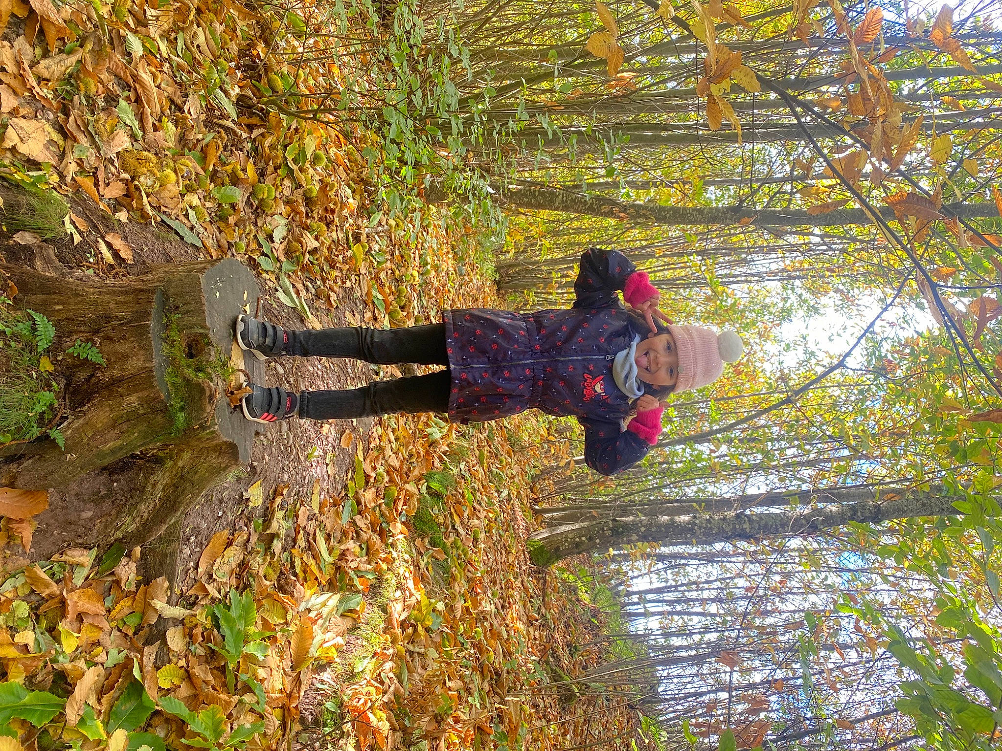 Hidaya a rejoint le concours — aidez-le/la à gagner de superbes lots ! adventure, deciduous, forest, grass, groundcover, headwear, joy, landscape, natural_landscape, northern_hardwood_forest, people_in_nature, person, plant, recreation, shadow, sky, tree, trunk, twig, water