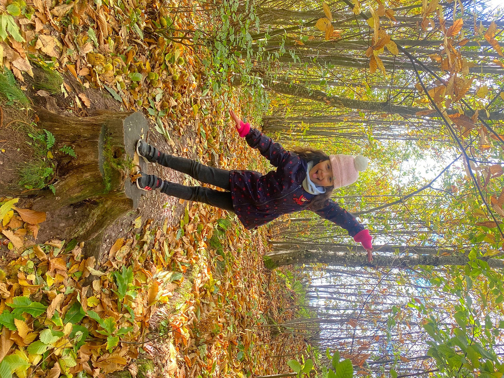 Hidaya participe au concours pour gagner de l'argent avec cette photo : active_pants, adventure, branch, deciduous, forest, grass, happy, headwear, landscape, leisure, natural_landscape, northern_hardwood_forest, people_in_nature, person, plant, recreation, sunlight, temperate_broadleaf_and_mixed_forest, tree, trunk