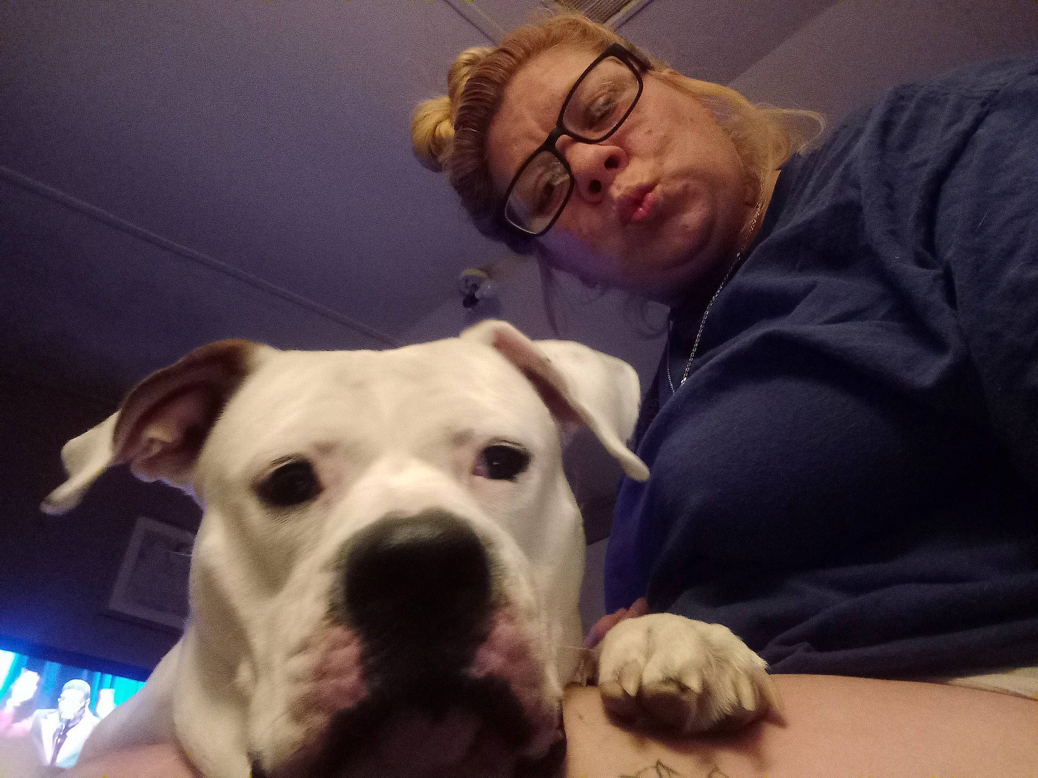 Niena Lyn Green is registered to the contest to win money with this photo: canidae, carnivore, collar, comfort, companion_dog, dog, dog_breed, dog_collar, ear, eyewear, fawn, glasses, molosser, puppy_love, selfie, snout, sporting_group, vision_care, whiskers, working_animal