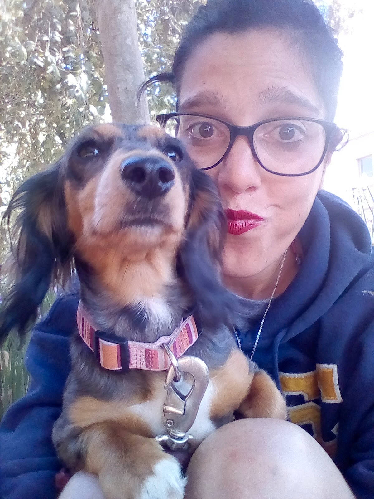 Billie is registered to the contest to win money with this photo: canidae, carnivore, collar, companion_dog, dog, dog_breed, dog_collar, ear, eyewear, fawn, friendship, gesture, glasses, happy, selfie, snout, sporting_group, sunglasses, vertebrate, vision_care
