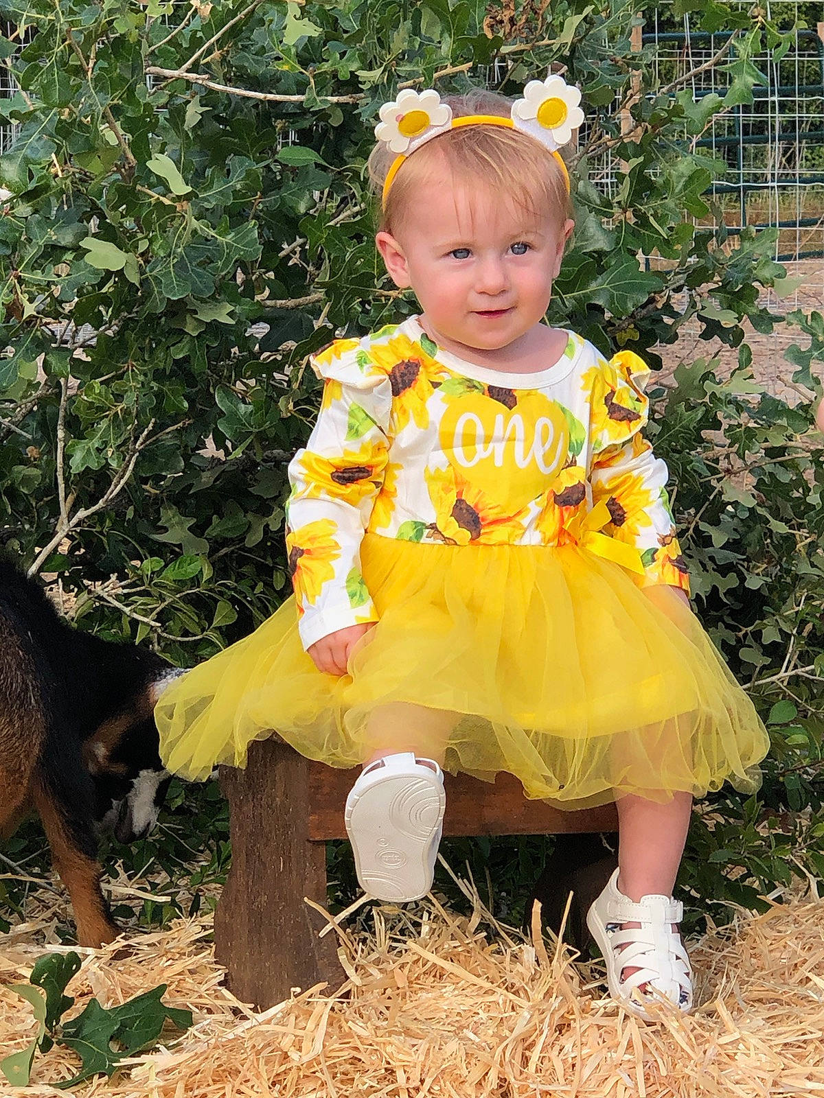 Kalliope joined the competition — help win amazing prizes! baby_toddler_clothing, child, costume, day_dress, eye, fun, grass, happy, head, headband, headgear, headpiece, pattern, people_in_nature, person, pink, plant, sitting, toddler, vintage_clothing