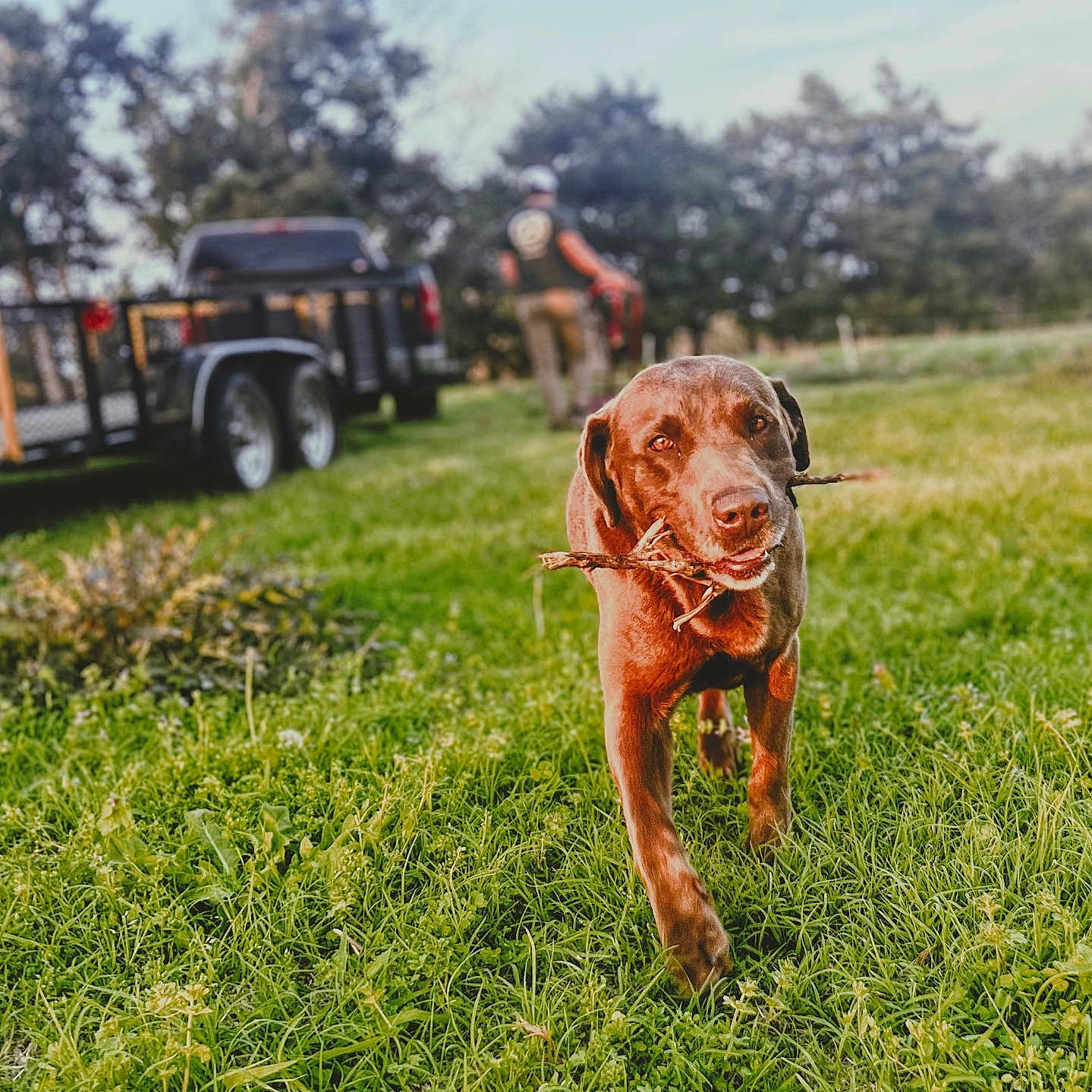 Reece joined the competition — help win amazing prizes! adult, animal, canine, dog, grass, helmet, machine, male, man, nature, outdoors, person, pet, plant, safari, tire, transportation, truck, vehicle, wheel