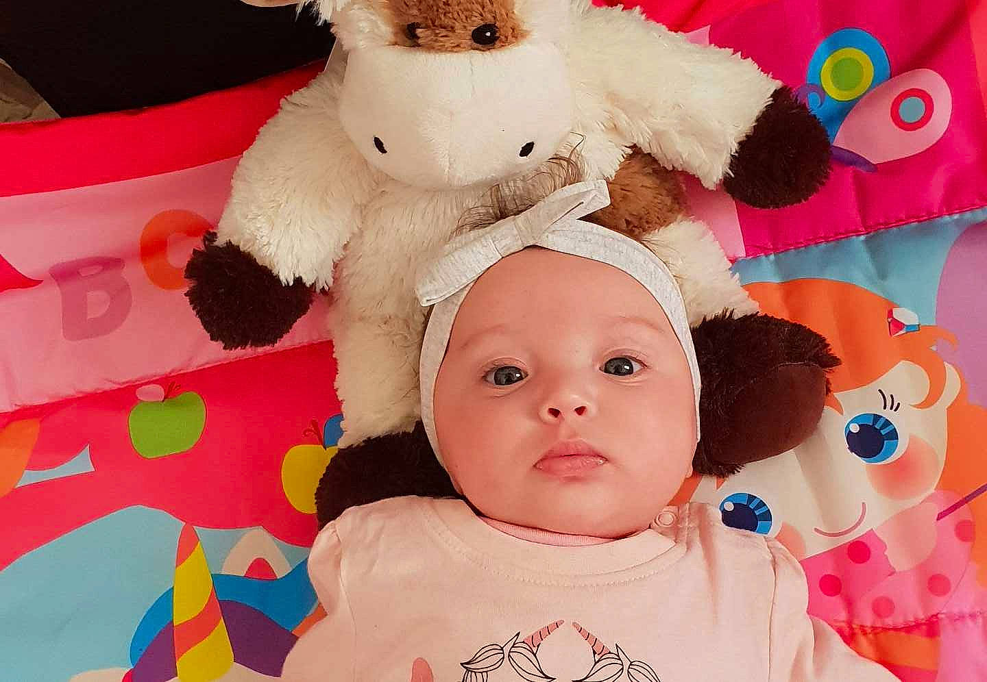Mélyssa participe au concours pour gagner de l'argent avec cette photo : baby, child, ear, fur, head, person, pink, plush, skin, stuffed_toy, teddy_bear, textile, toddler, toy