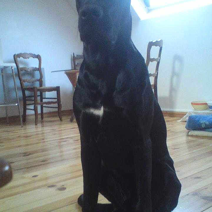 Kayser