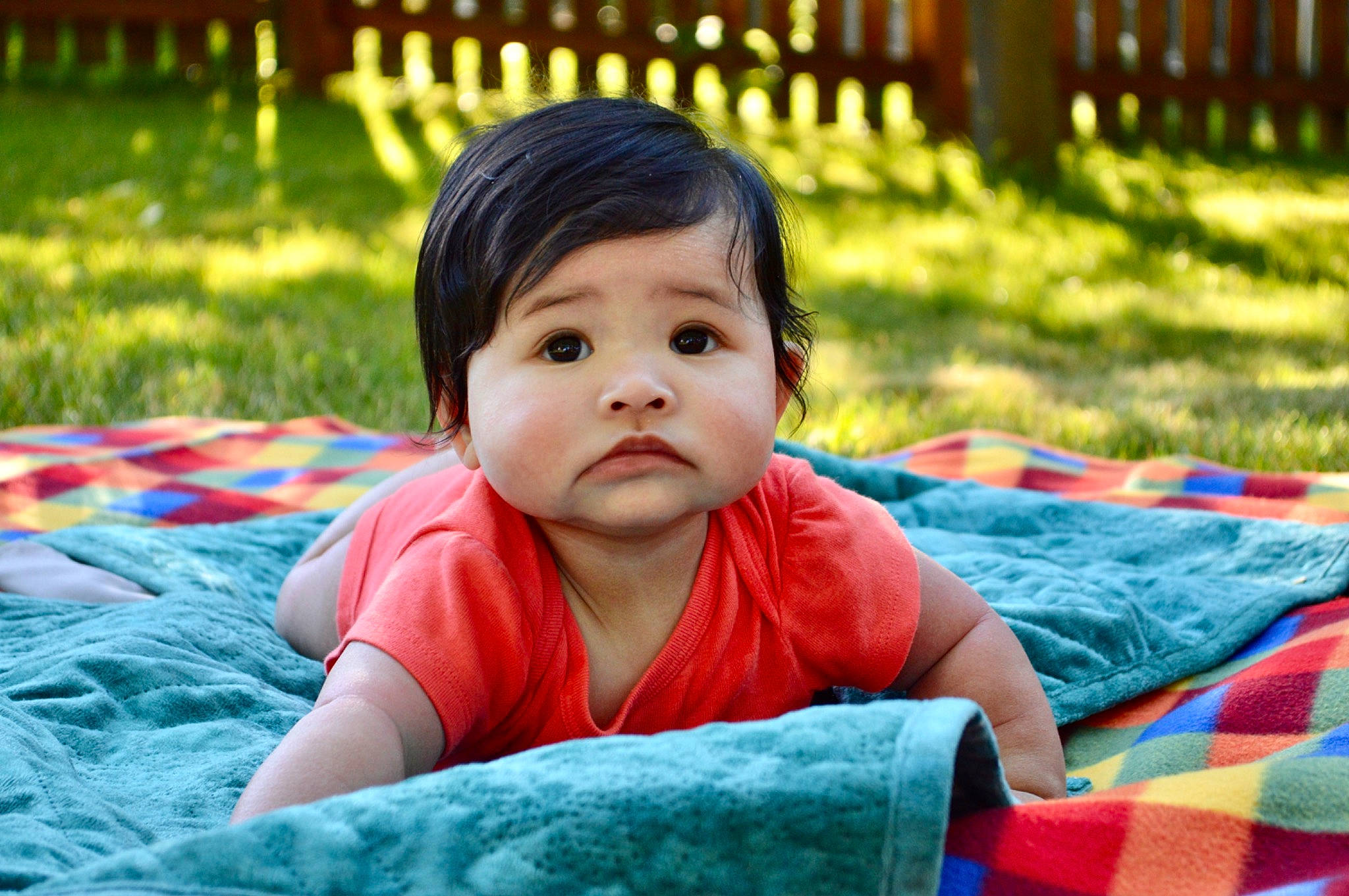 Anastasia is registered to the contest to win money with this photo: baby, baby_toddler_clothing, child, comfort, fun, grass, green, happy, leaf, leisure, linens, people_in_nature, person, photograph, plant, recreation, sitting, sleeve, sunlight, toddler