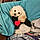 Peanut