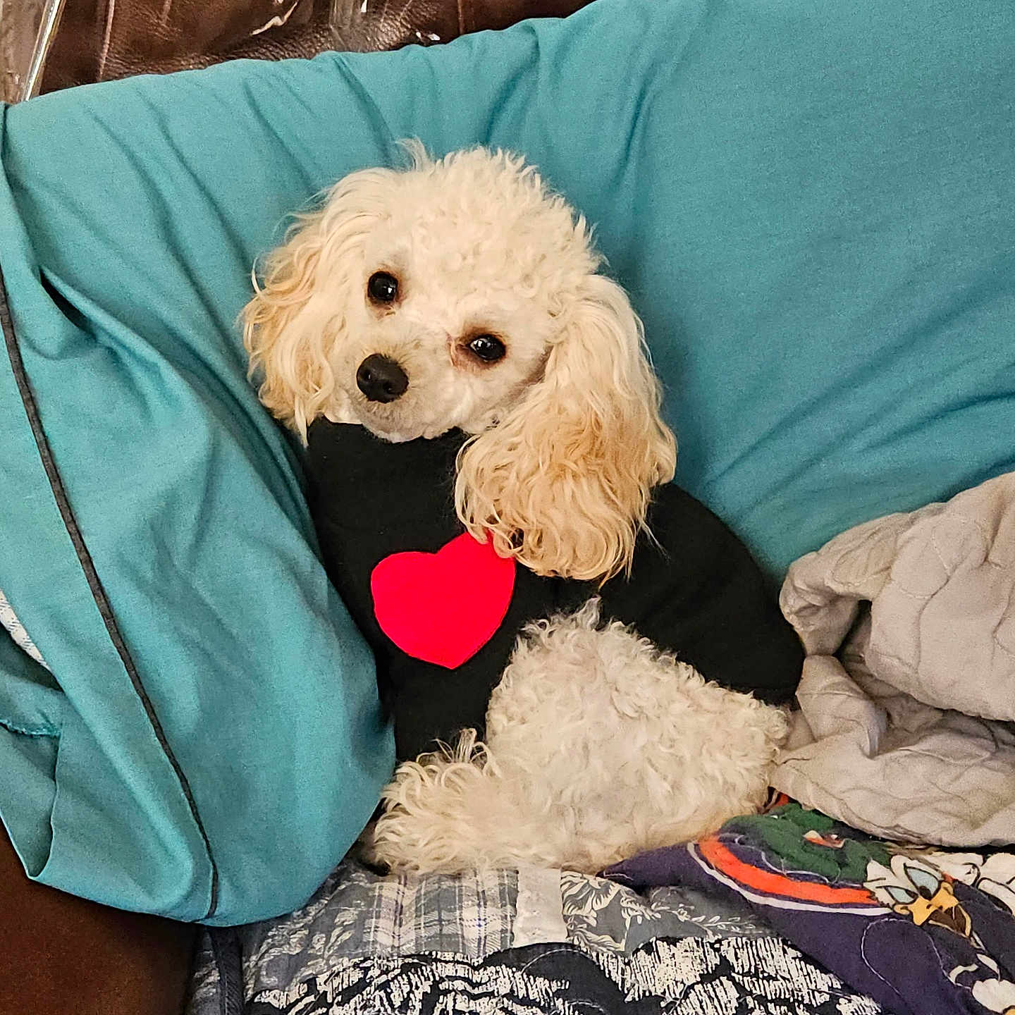 Peanut