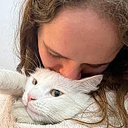 Mkidech participe au concours pour gagner de l'argent avec cette photo : person, cat, white_cat, curly_hair, blanket, snuggling, close_up, indoor, soft_texture, pet, affection, cozy, animal, fur, cute, face, whiskers, nostrils, eyelashes, warmth