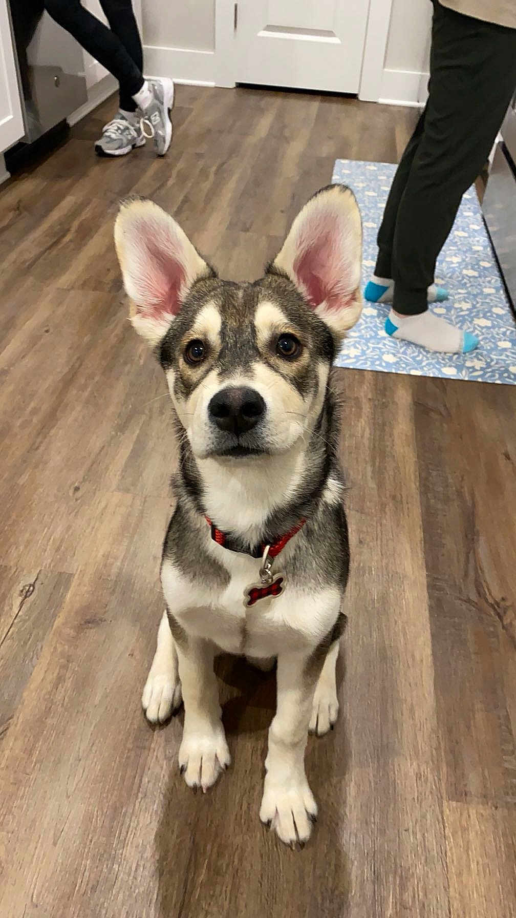 Nash