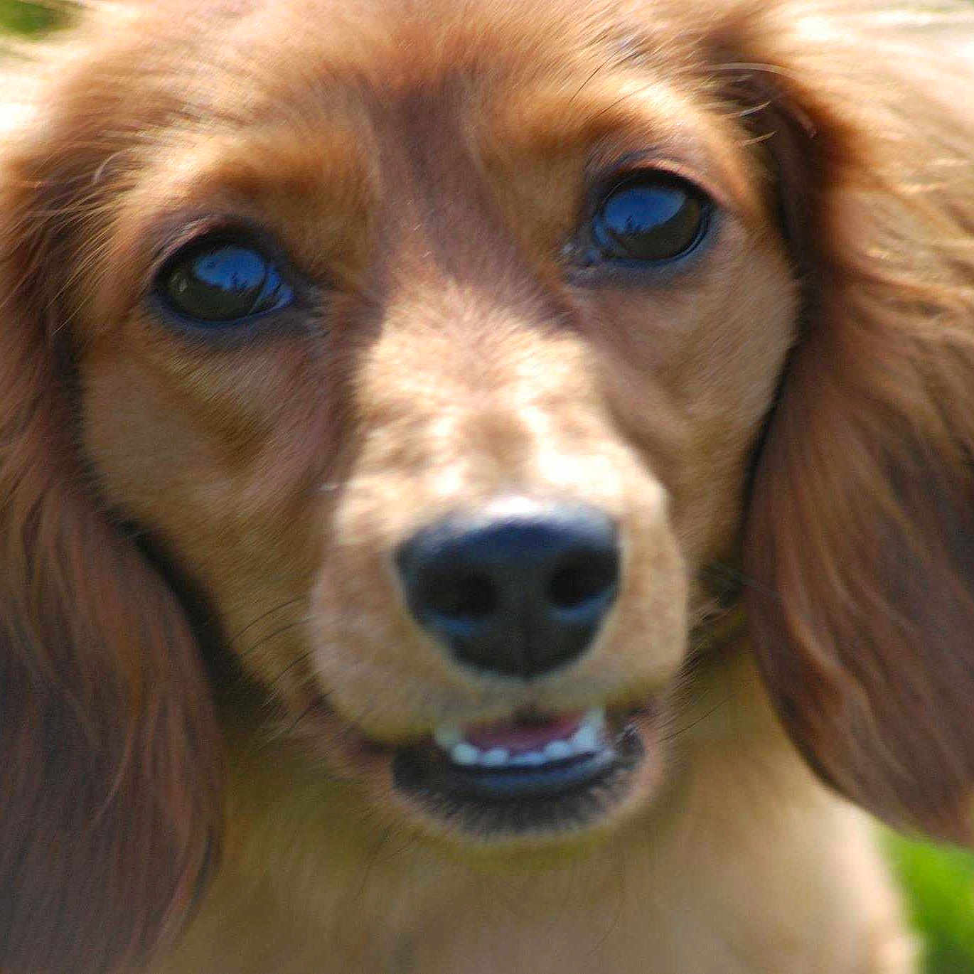 Friday joined the competition — help win amazing prizes!