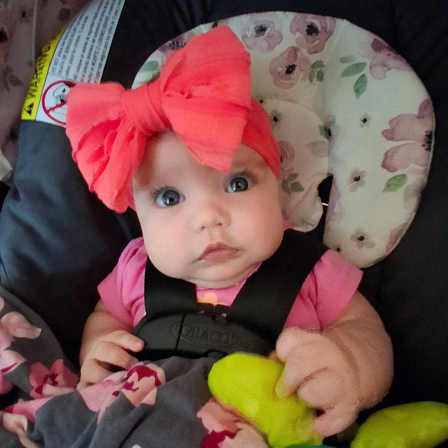 Paisley is registered to the contest to win money with this photo: baby, blanket, bow, car_seat, child, child_seat, closeup, cute, eyes, face, floral_pattern, hand, headband, indoors, infant, pink_clothing, portrait, seatbelt, soft_toys, toy