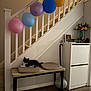 cat, balloons, bench, cushions, stairs, wood_floor, cabinet, digital_clock, vase, flowers, framed_photo, indoor, decor, wood, black_and_white_cat, pet, resting, home, furniture, cozy