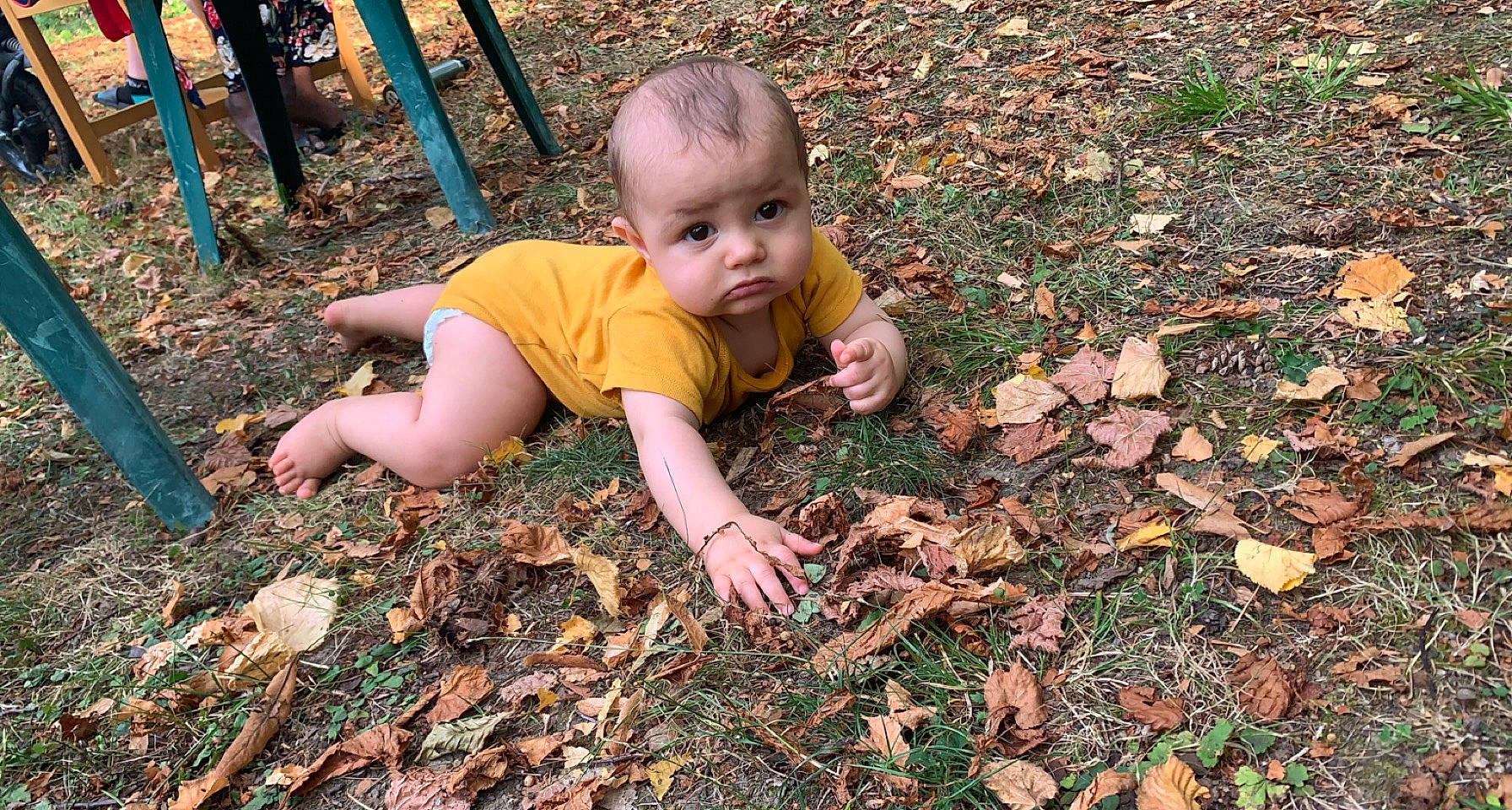 Kenzo participe au concours pour gagner de l'argent avec cette photo : adaptation, autumn, baby, baby_toddler_clothing, botany, child, deciduous, garden, grass, groundcover, happy, landscape, people_in_nature, person, plant, sitting, soil, t_shirt, toddler, tree
