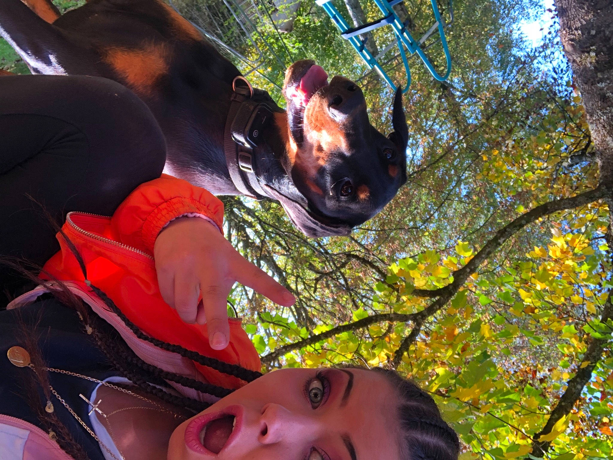 Isis a rejoint le concours — aidez-le/la à gagner de superbes lots ! branch, canidae, ear, fawn, fun, leaf, plant, tree