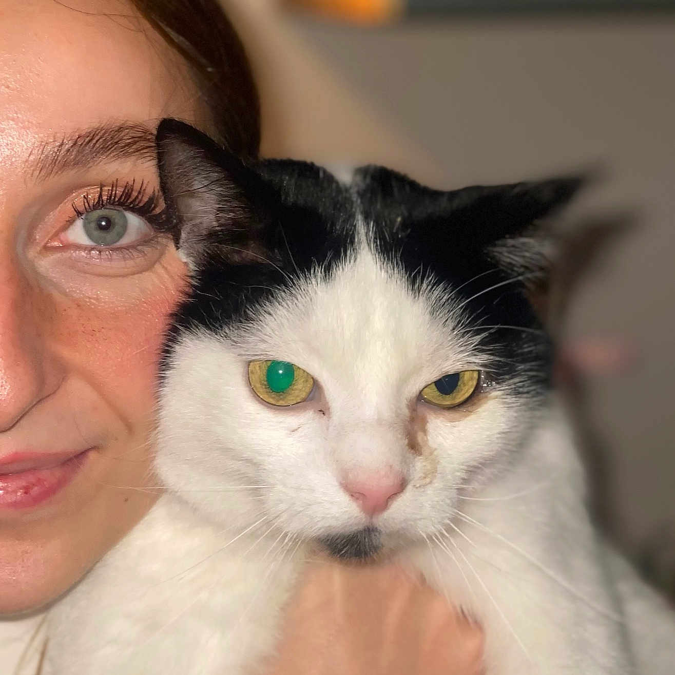 Voyou participe au concours pour gagner de l'argent avec cette photo : animal, black_and_white_cat, cat, close_up, cute, domestic_animal, expression, eye, face, fur, hand, holding, human, indoor, pet, portrait, skin, soft_lighting, whiskers, woman