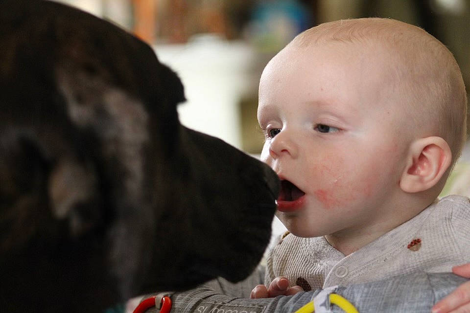 Aaron is registered to the contest to win money with this photo: baby, baby_products, baby_toddler_clothing, cheek, child, comfort, ear, event, fun, fur, happy, person, sitting, smile, toddler